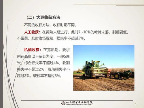 黨建引領謀發(fā)展 科技助農備春耕 網(wǎng)絡課堂 大豆生產百問百答