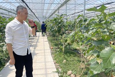 一只橘子的科技裂變——‘26賽道’上的鄉(xiāng)村CEO系列報道之六